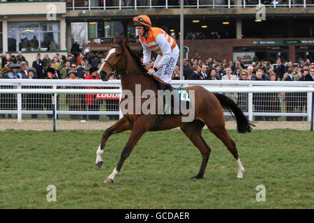 Maucaillou, geritten von Jockey Alain Cawley vor den Pertemps Finale (Handicap-Hürde) (Aufgeführt) Stockfoto