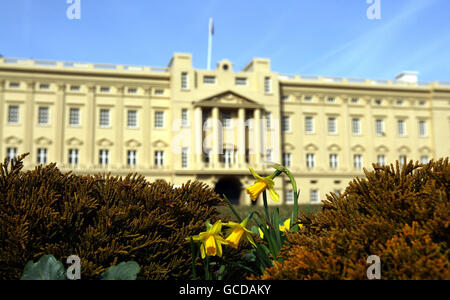 Narzissen blühen neben dem Buckingham Palace in Miniland im Legoland Windsor. Stockfoto