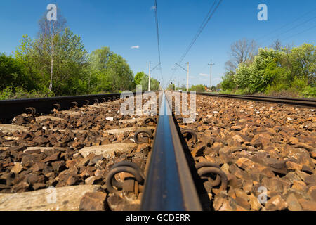 Landschaft in der Gegend um Bramki, einem Dorf in der administrativen Bezirk Gmina Błonie in Warschau West County, Polen Stockfoto