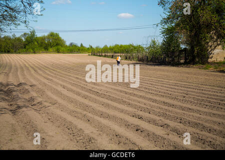 Landschaft in der Gegend um Bramki, einem Dorf in der administrativen Bezirk Gmina Błonie in Warschau West County, Polen Stockfoto