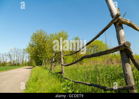 Landschaft in der Gegend um Bramki, einem Dorf in der administrativen Bezirk Gmina Błonie in Warschau West County, Polen Stockfoto