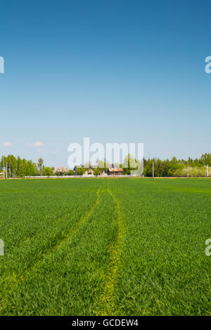 Landschaft in der Gegend um Bramki, einem Dorf in der administrativen Bezirk Gmina Błonie in Warschau West County, Polen Stockfoto