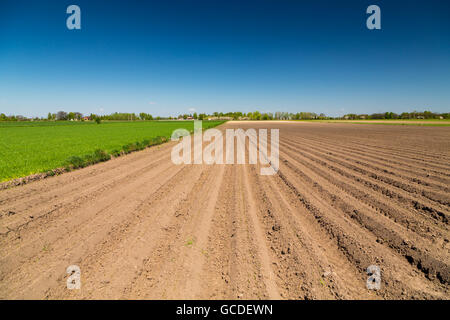 Landschaft in der Gegend um Bramki, einem Dorf in der administrativen Bezirk Gmina Błonie in Warschau West County, Polen Stockfoto