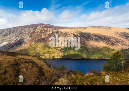 Die klösterliche Stadt Glendalough, Co. Wicklow Stockfoto