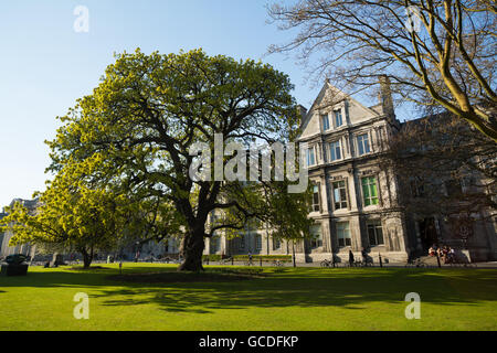 Das Gelände des Trinity College, Dublin, Irland Stockfoto