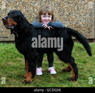 Florence Hill , Four, of Waltham Abbey, Essex, mit Familienpet, Tyler, ein fünfjähriger Gordon Setter in Crufts, NEC, Birmingham. Stockfoto
