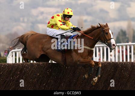 Horse Racing - 2010 Cheltenham Festival - Tag zwei Stockfoto