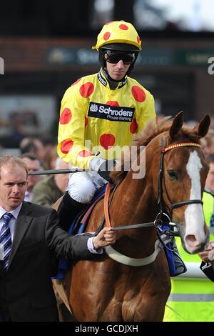 Horse Racing - 2010 Cheltenham Festival - Tag zwei Stockfoto