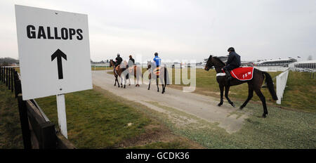 Pferderennen - 2010 Cheltenham Festival - Tag Drei. Vor dem dritten Tag des Cheltenham Festivals 2010 auf der Cheltenham Racecourse werden Pferde auf den frühen Morgengalopps trainiert. Stockfoto