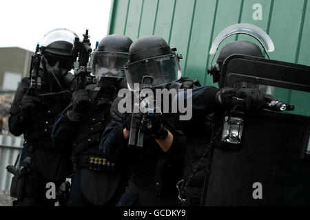 Irish Army Ranger Wing 30-jähriges Jubiläum Stockfoto