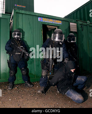 Irish Army Ranger Wing 30-jähriges Jubiläum Stockfoto