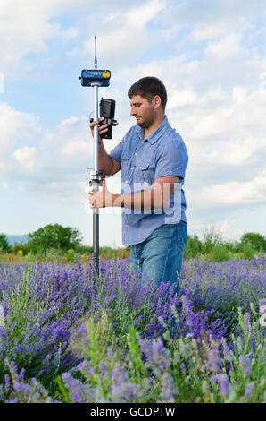 Geodäsie-Arbeit in einem Lavendelfeld Stockfoto