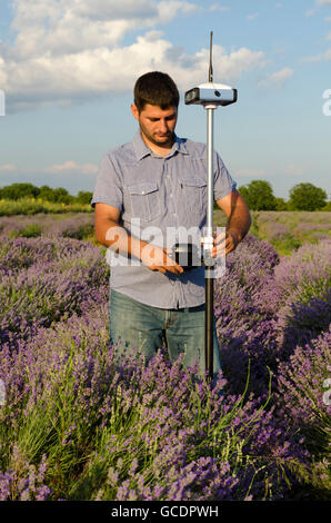 Landvermesser Anpassung sein Instrument in einem Feld von Lavendel Stockfoto