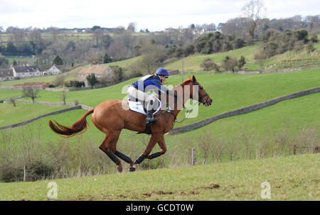 Zara Phillips auf Secret Legacy während der Cross Country der Land Rover Advanced Intermediate Section bei Gatcombe Horse Trials in der Nähe von Minchinhampton, Gloucestershire. Stockfoto