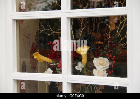 Blumen durch das Fenster. Stockfoto