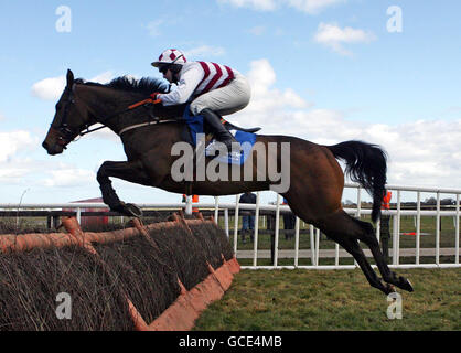 Horse Racing - Oster-Festival - Tag vier - Fairyhouse Racecourse Stockfoto