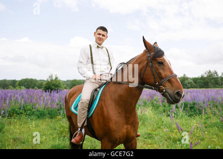 Der Bräutigam, Reiten auf dem Pferd über ein Feld von lupine Stockfoto