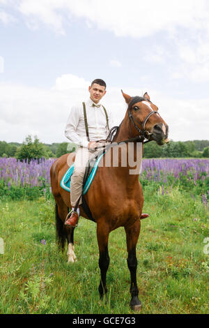 Der Bräutigam, Reiten auf dem Pferd über ein Feld von lupine Stockfoto