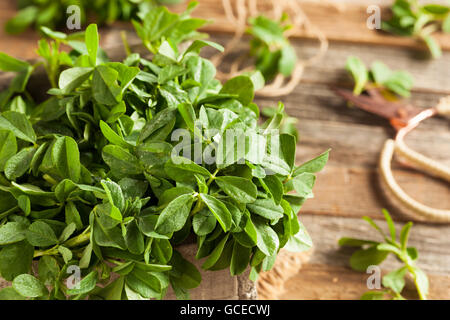 Rohe Bio Bockshornklee Rehkörner Blätter in einem Korb Stockfoto