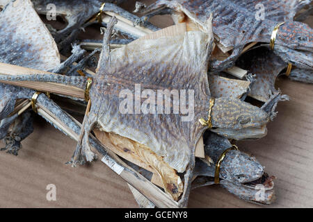 Getrocknet, gleiten Eidechsen zu verkaufen, Des Voeux Road West, Distrikt Sheung Wan, Hong Kong Island, Hongkong, China Stockfoto