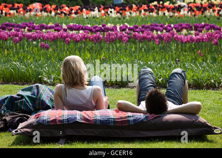 Jährliche Blumenschau mit vor allem Tulpen, Keukenhof Blumengarten, Lisse, Nord-Holland Provinz, Niederlande, Europa Stockfoto