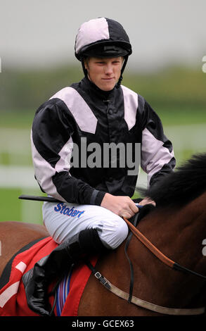 Pferderennen Sie - Racing für den Wandel - Doncaster Racecourse Stockfoto