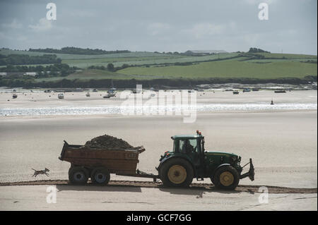 Ein Hund jagt einen Traktor bei Ebbe in Padstow, Cornwall Stockfoto