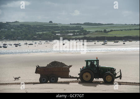 Ein Hund jagt einen Traktor bei Ebbe in Padstow, Cornwall Stockfoto