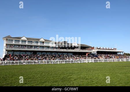 Gesamtansicht der Haupttribüne auf der Ayr Racecourse Stockfoto