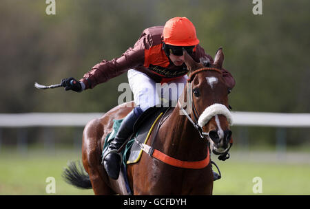 Horse Racing - Stan James Perth Festival - Tag 2 - Perth Racecourse Stockfoto