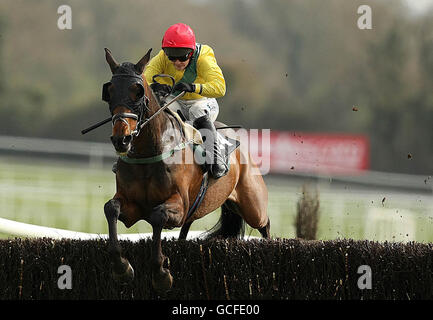 Horse Racing - Punchestown Festival 2010 - Tag 3 - Punchestown Racecourse Stockfoto