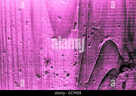 Grobe körnig Holz vor allem lila rosa oder lila rosa violetten Farben schwer leicht closeup Stockfoto