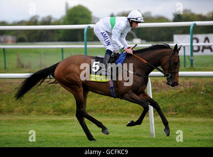 Pferderennen - Lingfield Rennbahn Stockfoto