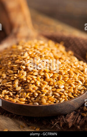 Rohe organische goldenen Leinsamen in einem Löffel Stockfoto