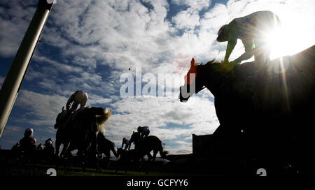 Pferderennen Sie - Derrinstown Derby Trial - Leopardstown Racecourse Stockfoto