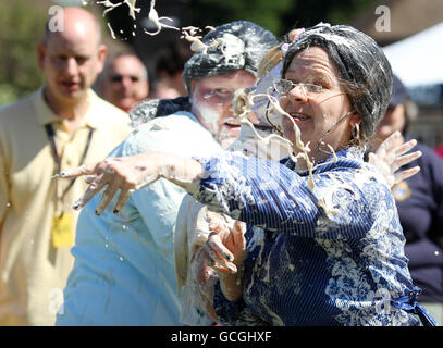 Die offizielle Weltmeisterschaft Custard Pie Stockfoto