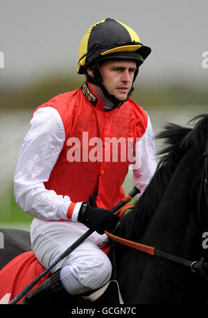 Pferderennen Sie - Racing für den Wandel - Doncaster Racecourse Stockfoto