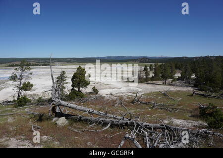 Ansicht von Fountain Paint Pot / unteren Geysir Basin Naturlehrpfad, Yellowstone-Nationalpark Stockfoto