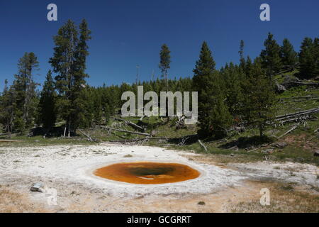 Wellenfeder am Upper Geyser Basin, Yellowstone-Nationalpark Stockfoto