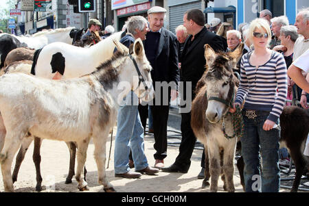 Pferdehändler zeigen ihre Tiere in der Hauptstraße von Ballyclare, Co Antrim, im Rahmen des Ballyclare May Fair Festival, einem lokalen Brauch aus dem Jahr 1756. Stockfoto