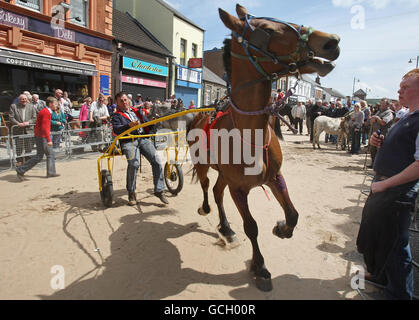 Pferdehändler zeigen ihre Tiere in der Hauptstraße von Ballyclare, Co Antrim, im Rahmen des Ballyclare May Fair Festival, einem lokalen Brauch aus dem Jahr 1756. Stockfoto