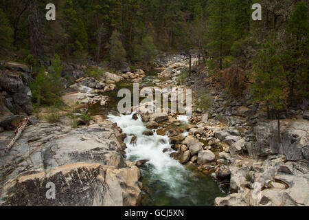 North Fork Stanislaus River, Calaveras große Bäume Staatspark, Ebbetts Pass National Scenic Byway, Kalifornien Stockfoto