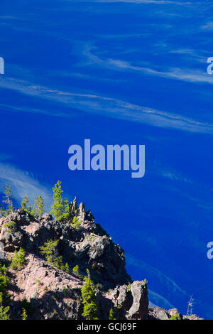 Bäume gegen Kratersee Crater Lake Nationalpark, Oregon Stockfoto