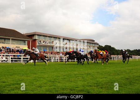 Die Läufer und Reiter der Edenbridge Maiden Auction Stakes machen sich auf den Weg, vorbei an der Tribüne zum Zielplatz auf der Lingfield Racecourse Stockfoto