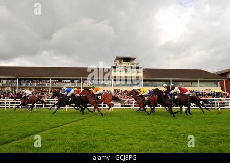 Die Läufer und Reiter der Edenbridge Maiden Auction Stakes machen sich auf den Weg, vorbei an der Tribüne zum Zielplatz auf der Lingfield Racecourse Stockfoto