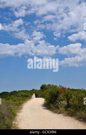 Sandy-Wanderweg durch das Buschland Manning Park mit einheimischen grünen Flora unter blauem Himmel mit Wolken in Western Australia. Stockfoto