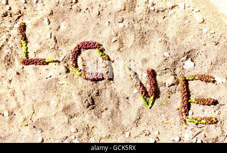 Das Alphabet Buchstaben L, O, V und E buchstabieren 'LOVE' mit rosa Blüten auf einem groben sandigen Hintergrund in der Natur. Stockfoto