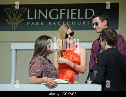 Pferderennen - Reben von Gatwick und Redhill Damen Abend - mit Mädchen B laut - Lingfield Park Stockfoto