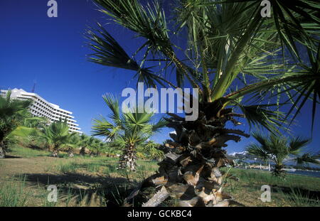 ein Strand in der Stadt Latakia am Mittelmeer in Syrien im Nahen Osten Stockfoto