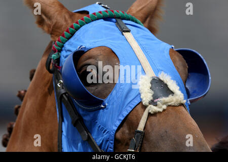 Pferderennen Sie - Ladbrokes Renntag - Leicester Racecourse Stockfoto